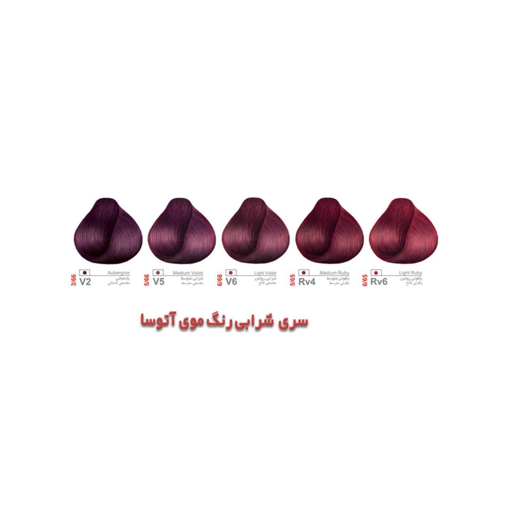 رنگ مو آتوسا سری شرابی شماره V2 3/66 حجم 100 میلی لیتر – بادمجانی